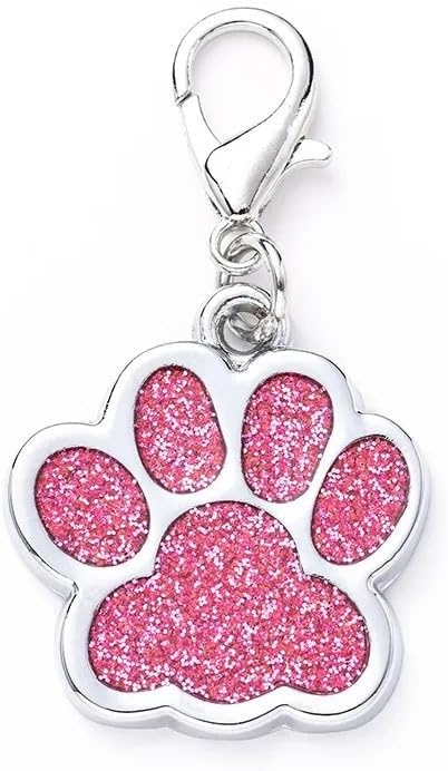 Cute Personalized Pet Name Tags by COOLLIANT