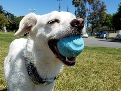 Chuckit Gen 1 Fetch Pack Dog Balls - Image 6