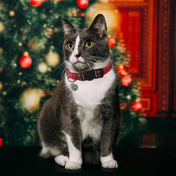 Lionet Paws 2pcs Pack Cotton Cat Collar, Breakaway Buckle Christmas Cat Colar - Image 2
