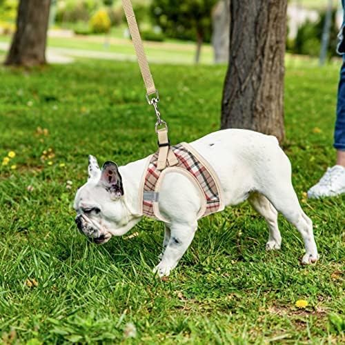 PUPTECK Adjustable Dog Harness Collar and Leash Set Step in No Pull Pet Harness - Image 8