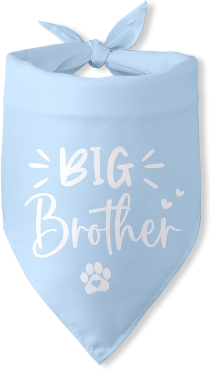 Big Brother Dog Bandana Pregnancy Announcement Gender Reveal Baby Announcement by PwrlveiutforYou