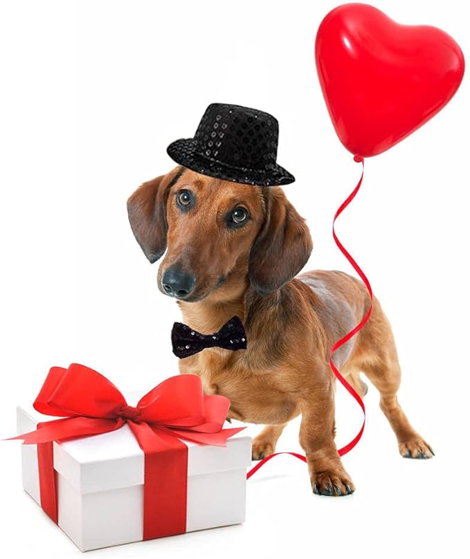 Christmas Pet Party Jazz Hat and Blingbling Bow Tie Breakaway Collar Set - Image 5