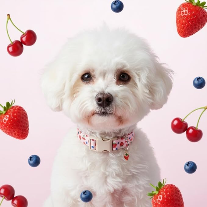 Girl Dog Collar, Cute Dog Collar - Image 8