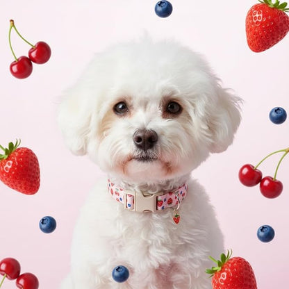 Girl Dog Collar, Cute Dog Collar - Image 8