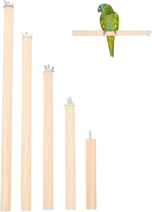 Angoily Natural Wood Bird Perch Stand Set, Parakeet Perches, 11 Inch Parrot by Angoily