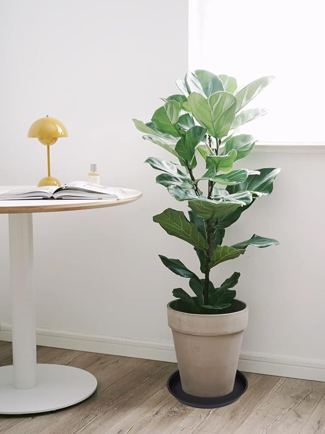 6 Pack of 12 inch Plant Saucer, Heavy Duty Plastic Plant Saucer 12 inch Round - Image 6