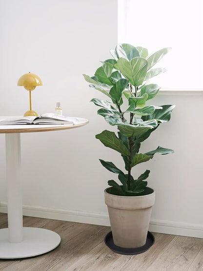 6 Pack of 12 inch Plant Saucer, Heavy Duty Plastic Plant Saucer 12 inch Round - Image 6