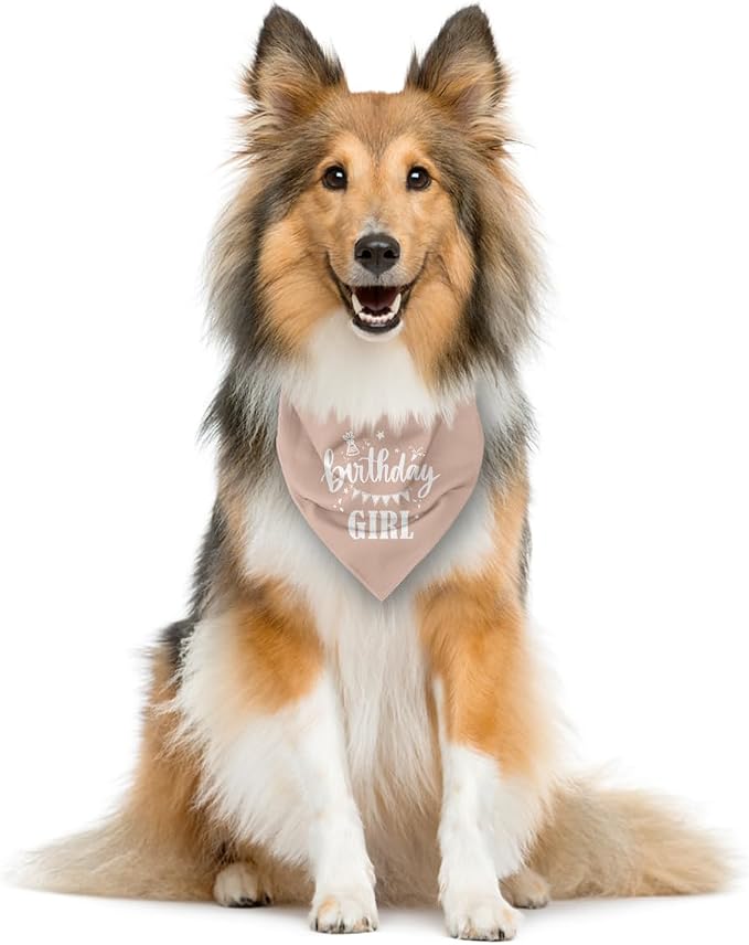 Birthday Girl Dog Bandana - Image 3
