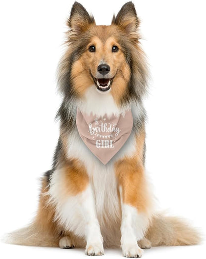 Birthday Girl Dog Bandana - Image 3
