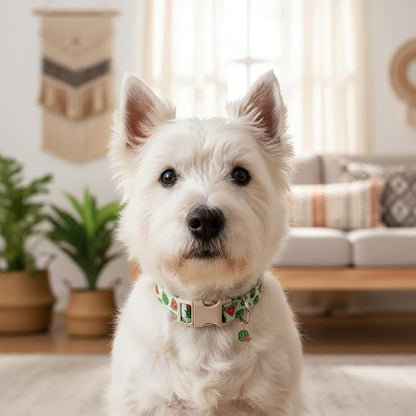 Dog Collar for Small Dogs, Summer Dog Collar - Image 7