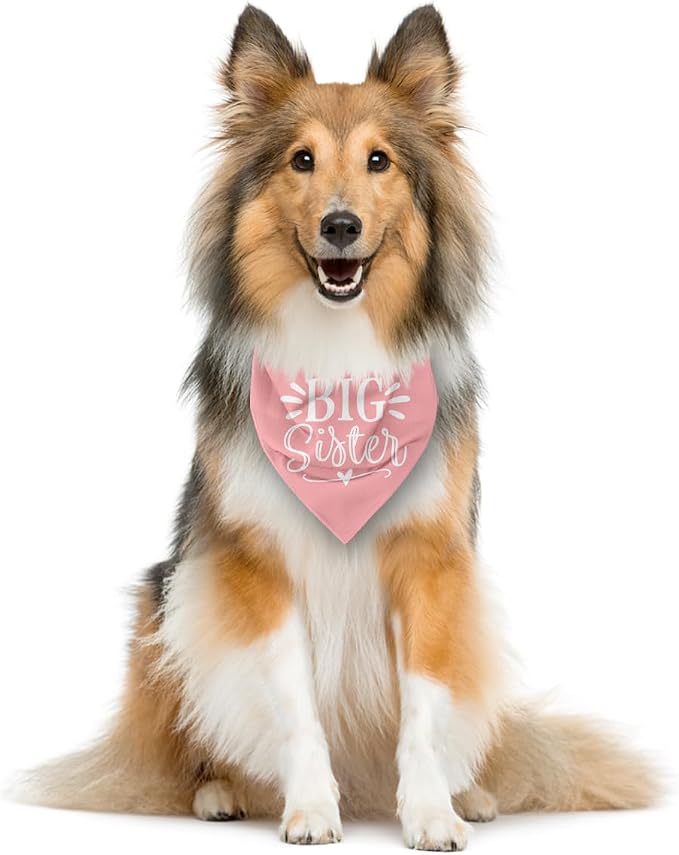 Big Sister Dog Bandana, Dog Bandana, Pet Dog Triangle Scarf, Dog Bandana - Image 4