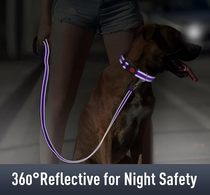 Airtag Dog Collar with AirTag Holder - Image 4
