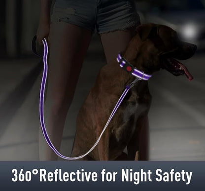 Airtag Dog Collar with AirTag Holder - Image 4
