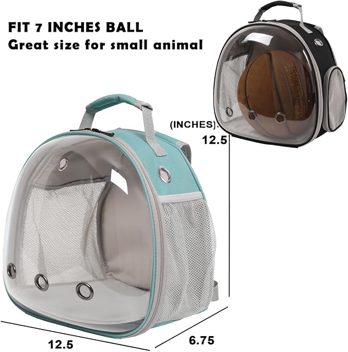 Bearded Dragon Travel Backpack - Image 3