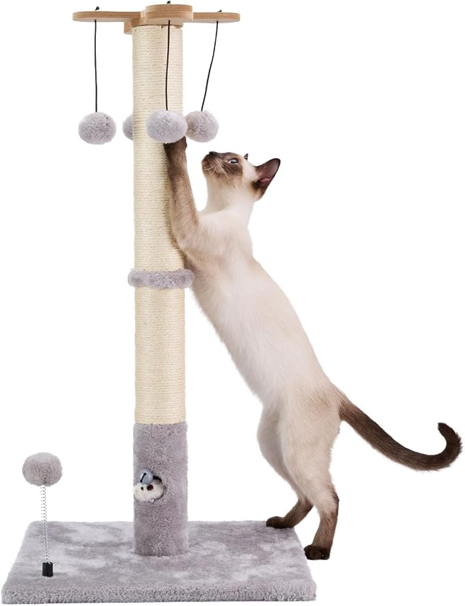 PAWSFANS Cat Scratching Post for Indoor Cats and Kittens, 30inches Tall Sisal by Pawsfans