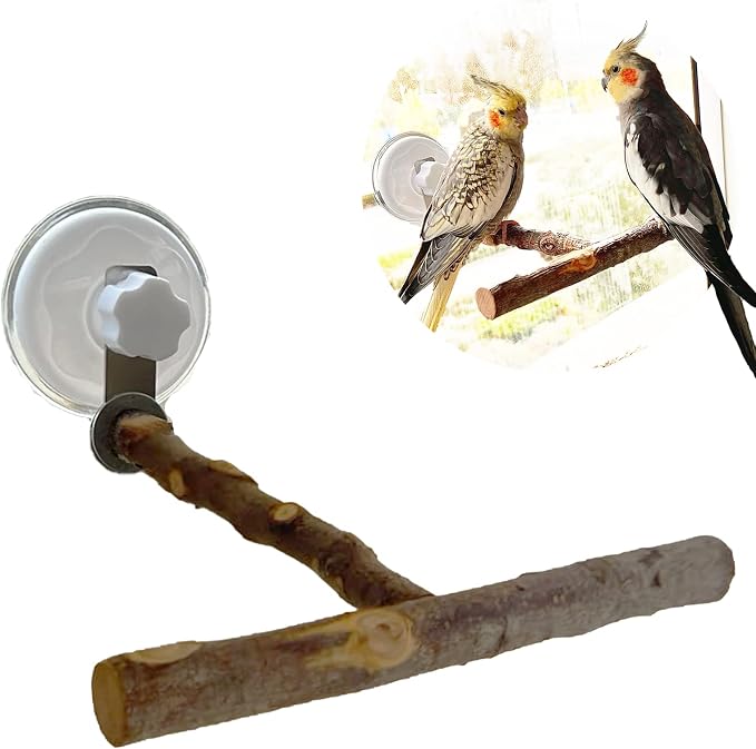 Portable Bird Perch Stand- T-Shaped Natural Apple Wood by Qimilenzy