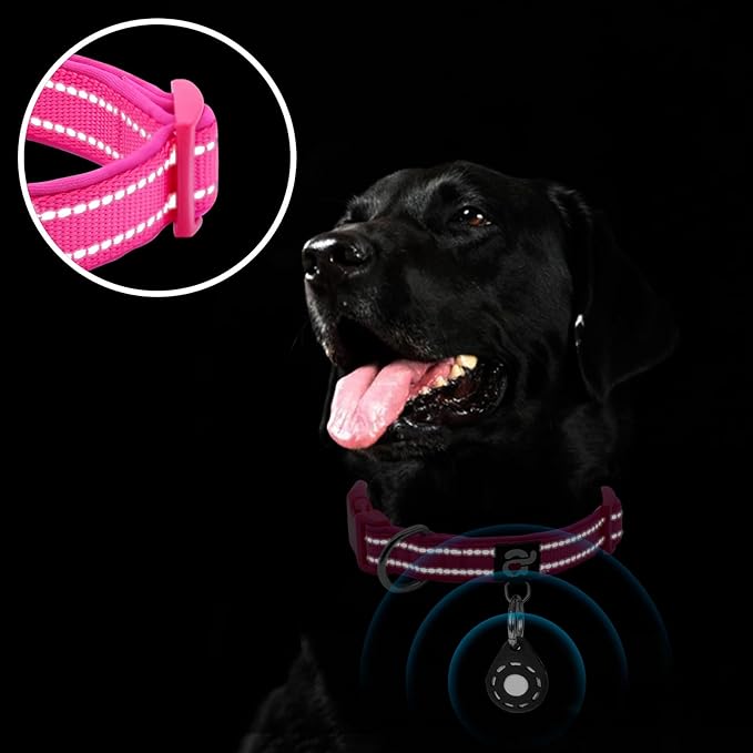 azuza Reflective Dog Collar - Image 5