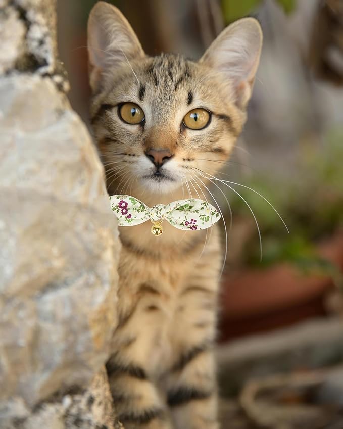 2 Pack Cotton Cat Collar, Removable Bowtie, Floral Pattern, Safety Breakaway - Image 6