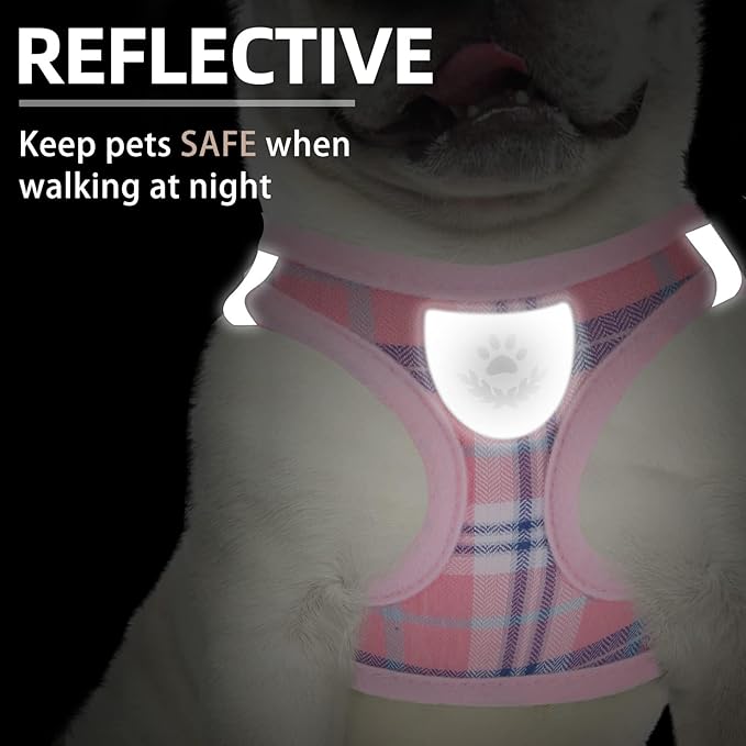 PUPTECK Adjustable Dog Harness Collar and Leash Set Step in No Pull Pet Harness - Image 5