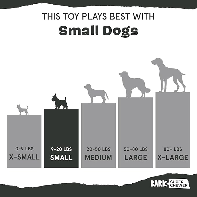 Barkbox Super Chewer Tough Dog Chew Toys - Image 6