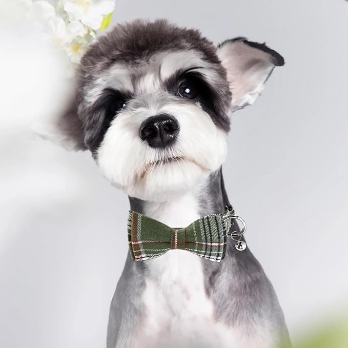 SuperBuddy Dog Collar, Adjustable Dog Collar - Image 6
