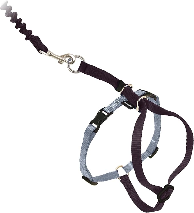 PetSafe Come with Me Kitty Harness and Bungee Leash by PetSafe