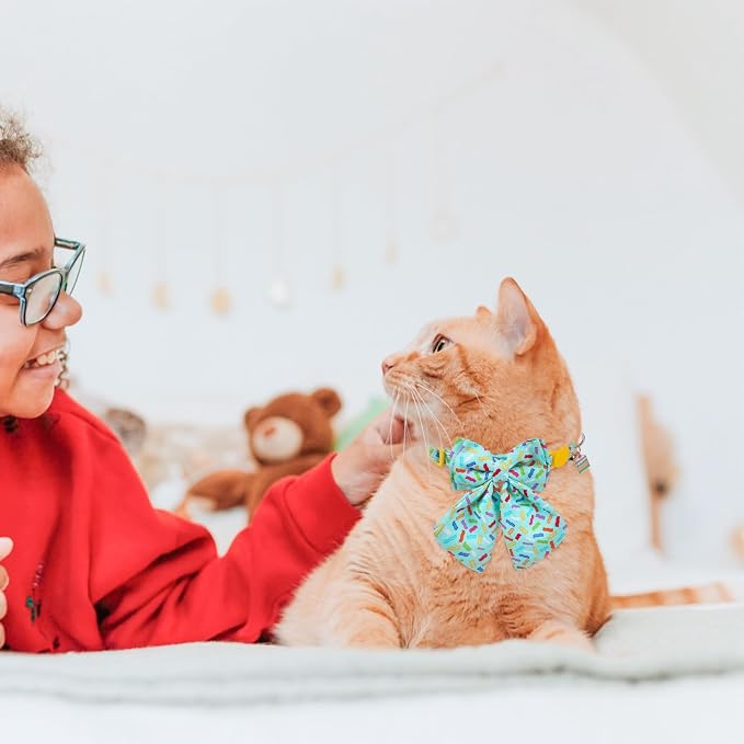 SCENEREAL Birthday Cat Collar - Image 7