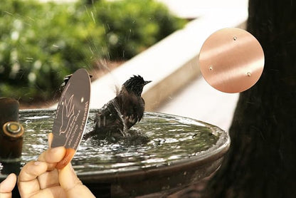 GUCHO Bird Bath Copper Disk, Bird Bath Purification Disk, 0.6mm Thickness - Image 5