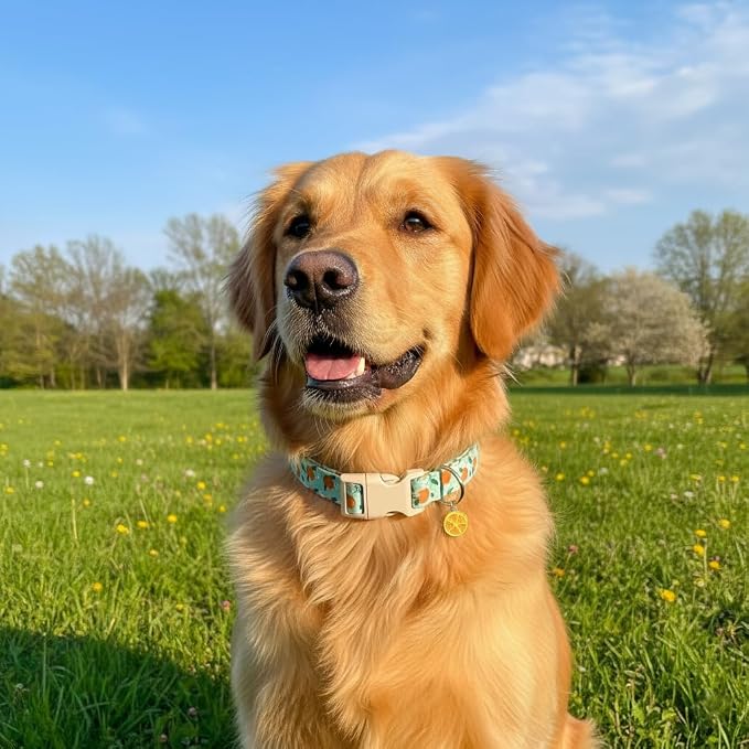 Dog Collar, Spring Summer Dog Collar - Image 7