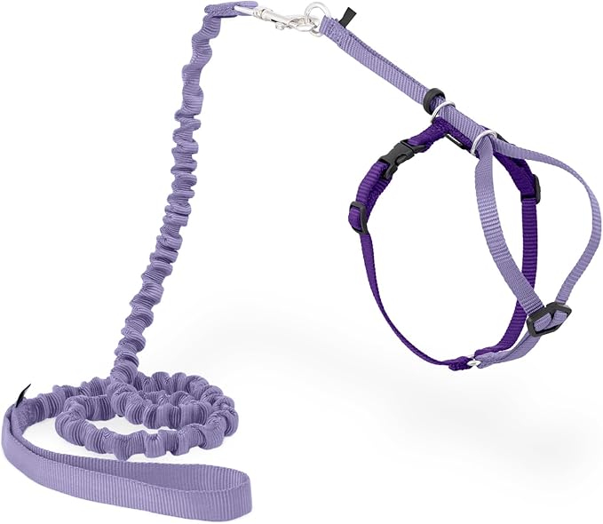 PetSafe Come With Me Kitty Cat Harness & Bungee Leash by PetSafe