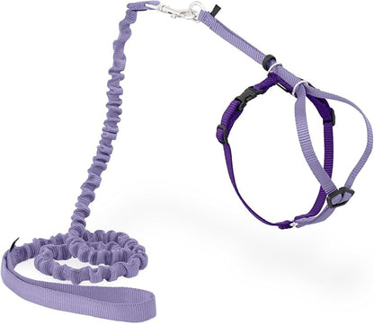PetSafe Come With Me Kitty Cat Harness & Bungee Leash by PetSafe