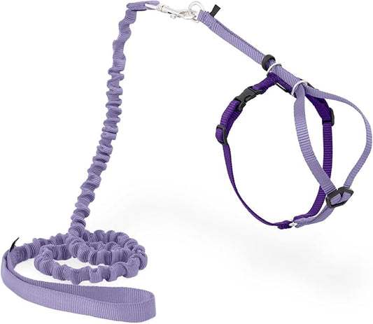 PetSafe Come With Me Kitty Cat Harness & Bungee Leash by PetSafe