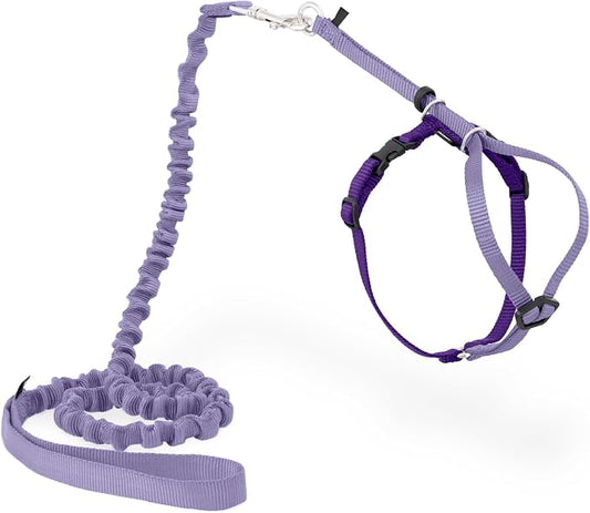 PetSafe Come With Me Kitty Cat Harness & Bungee Leash by PetSafe