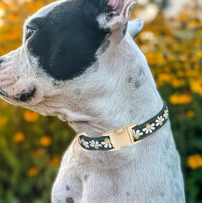 Woven Dog Collar with Metal Buckle Adjustable Jacquard Retro Dog Collars - Image 4