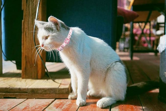 Breakaway Cat Collar with Bell, 2 Pack of Adjustable Floral Cat Collars Cute - Image 6