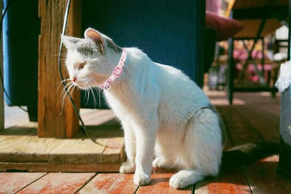 Breakaway Cat Collar with Bell, 2 Pack of Adjustable Floral Cat Collars Cute - Image 6