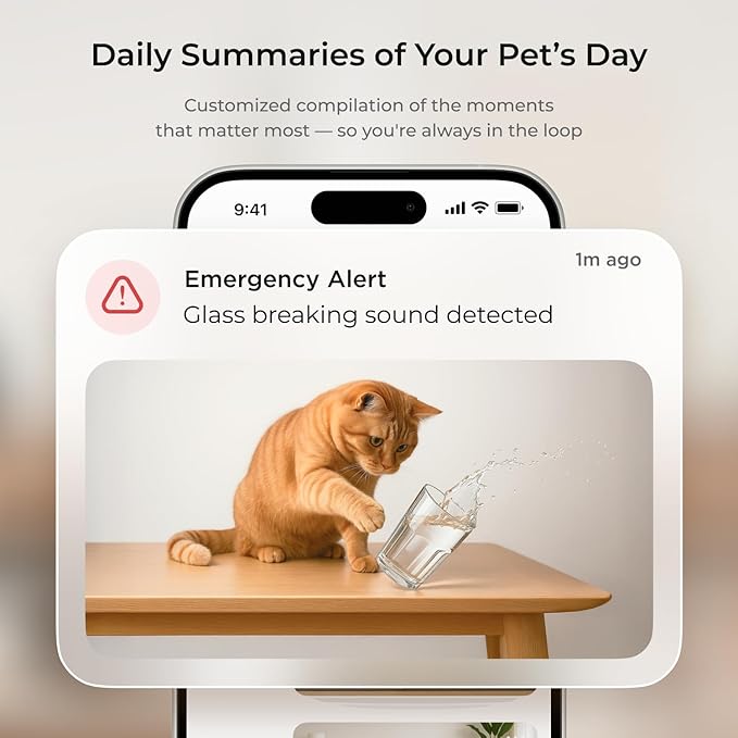 Petcube Cam 360 The Pack of 2 Camera | Ultimate Interactive WiFi Pet and Home - Image 4