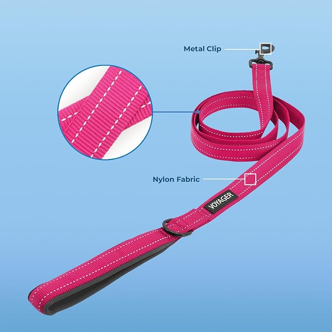 Best Pet Supplies Voyager Reflective Dog Leash or Collar - Image 2