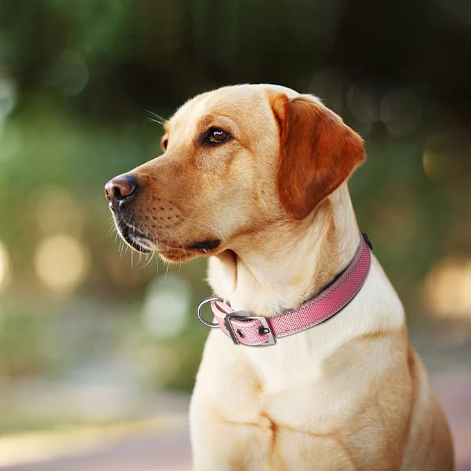 Fida Heavy Duty Dog Collar, Ultra Comfortable Soft Neoprene Padded, Adjustable - Image 7