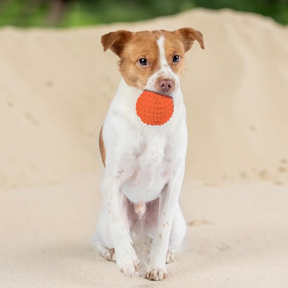 Best Pet Supplies Squeaky Dog Toys - Image 6
