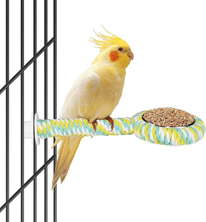 ASOCEA Bird Perch Feeding Cup, Bird Bowls by ASOCEA