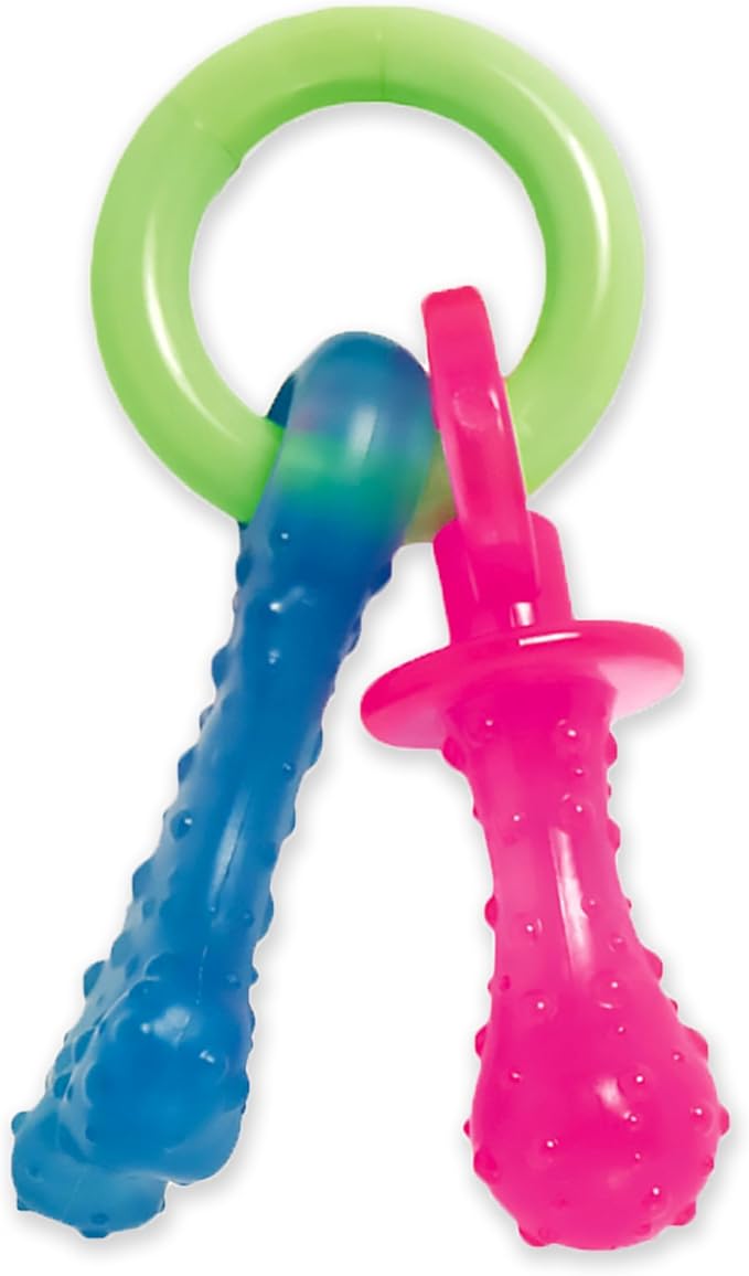 Nylabone Puppy Pacifier Chew Toy, Teething Toys by Nylabone
