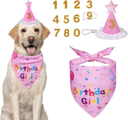 Dog Birthday Decorations, Dog Birthday Hat by Yicostar