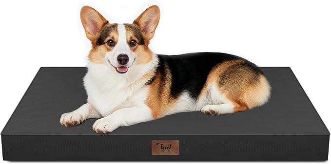 Outdoor Orthopedic Dog Bed, Waterproof Dog Bed by TailStories