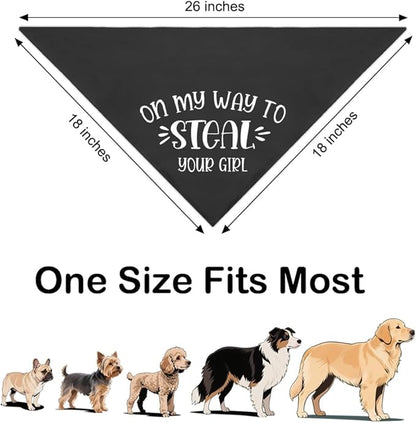 On My Way to Steal Your Girl Black Dog Bandana, Funny Pet Scarf Accessories - Image 2