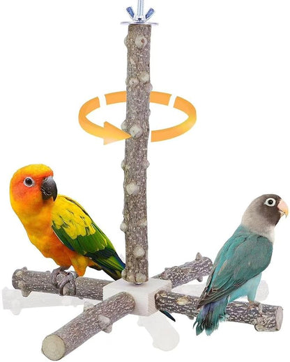 Bird Perch Stand Toy, Interactive Spinning Bird Toys, Wooden Parrot Perch by KINTOR