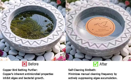 2Pack Bird Bath Copper Purification Disk | 0.6mm Reinforced 99.9% Pure Copper | - Image 5