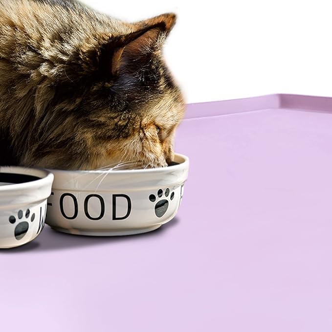 Dog Food Mat, Silicone Waterproof Food Tray, Non Slip Pet Bowl Mats Placemat - Image 6