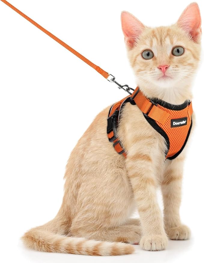 Dooradar Cat Harness and Leash Set, Escape Proof Safe Adjustable Kitten Vest by Dooradar