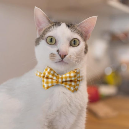 AIITLE Breakaway Cat Collar - Image 4